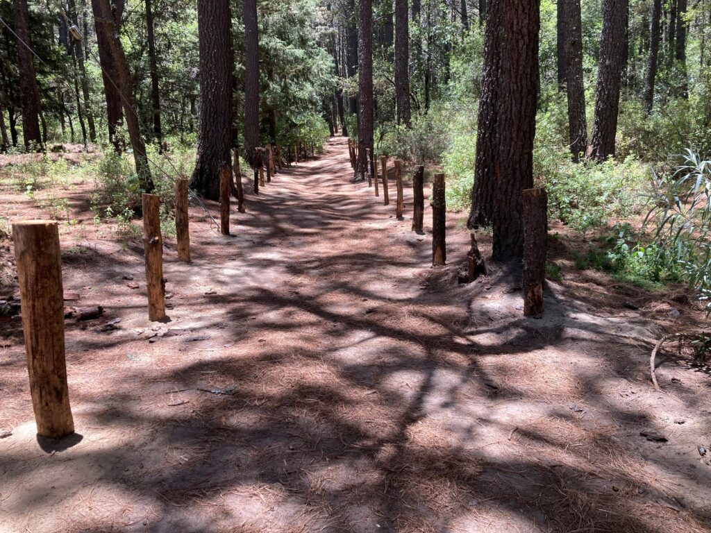Wooden posts line both sides of the trail at the beginning of the hike. You can see it's partially shaded by trees, but plenty of sunlight still gets through.